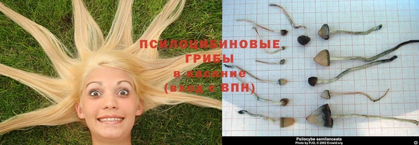 mix Алексин