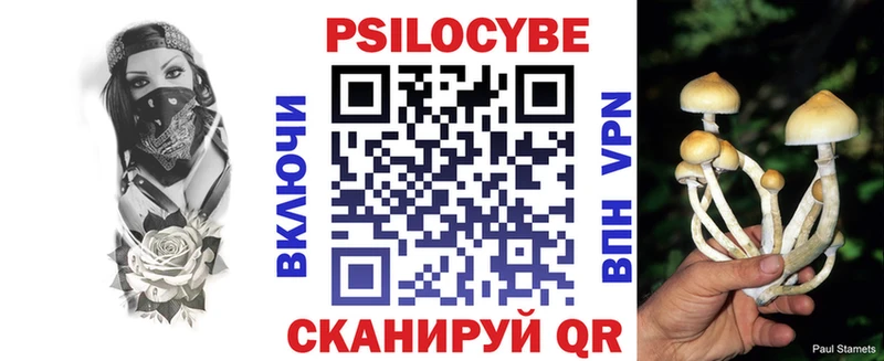 Псилоцибиновые грибы Magic Shrooms  продажа наркотиков  Порхов 