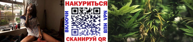 где купить наркоту  Порхов  Канабис LSD WEED 